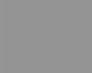 SBP17 Paper Background Roll Grey - Professional photography backdrop for seamless, high-quality beige backgrounds. Available at Cinesouk, Marrakech.