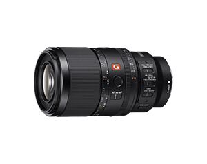 Sony FE 100mm F2.8 Macro GM OSS Lens